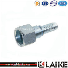 (24211 ORFS) Female Flat Seal -Swivel Hydraulic Fitting